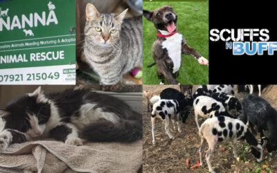 Scuffs N Buffs support NANNA Animal Rescue charity