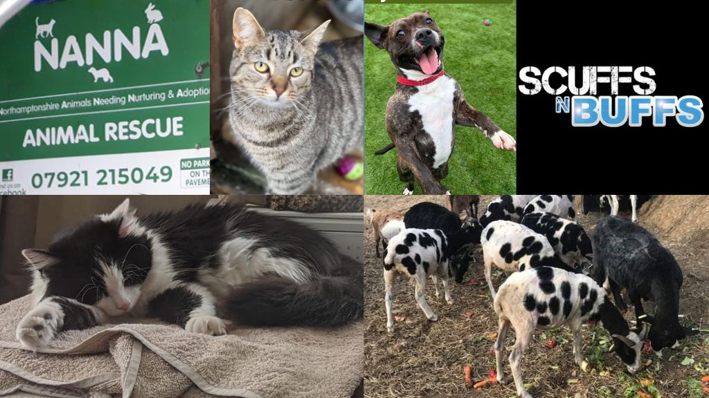 Scuffs N Buffs support NANNA Animal Rescue charity